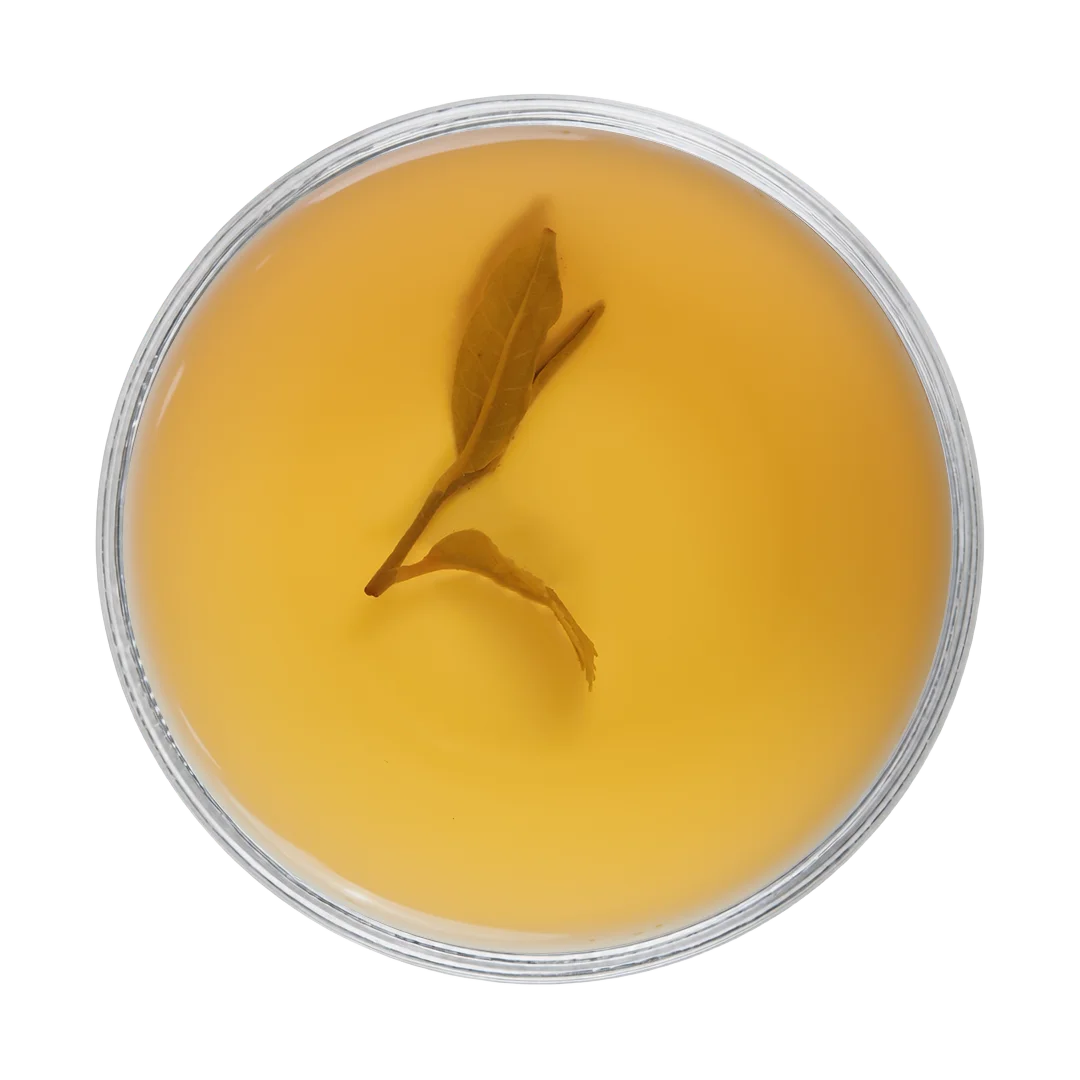 Avongrove-SFTGFOP1 Clonal | First Flush