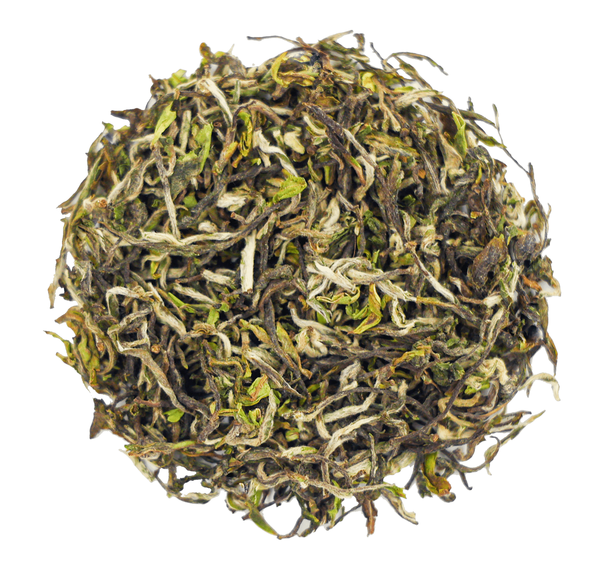 A close-up view of dried, rolled tea leaves - GlenburnMoonshine_Dry - Chaichun