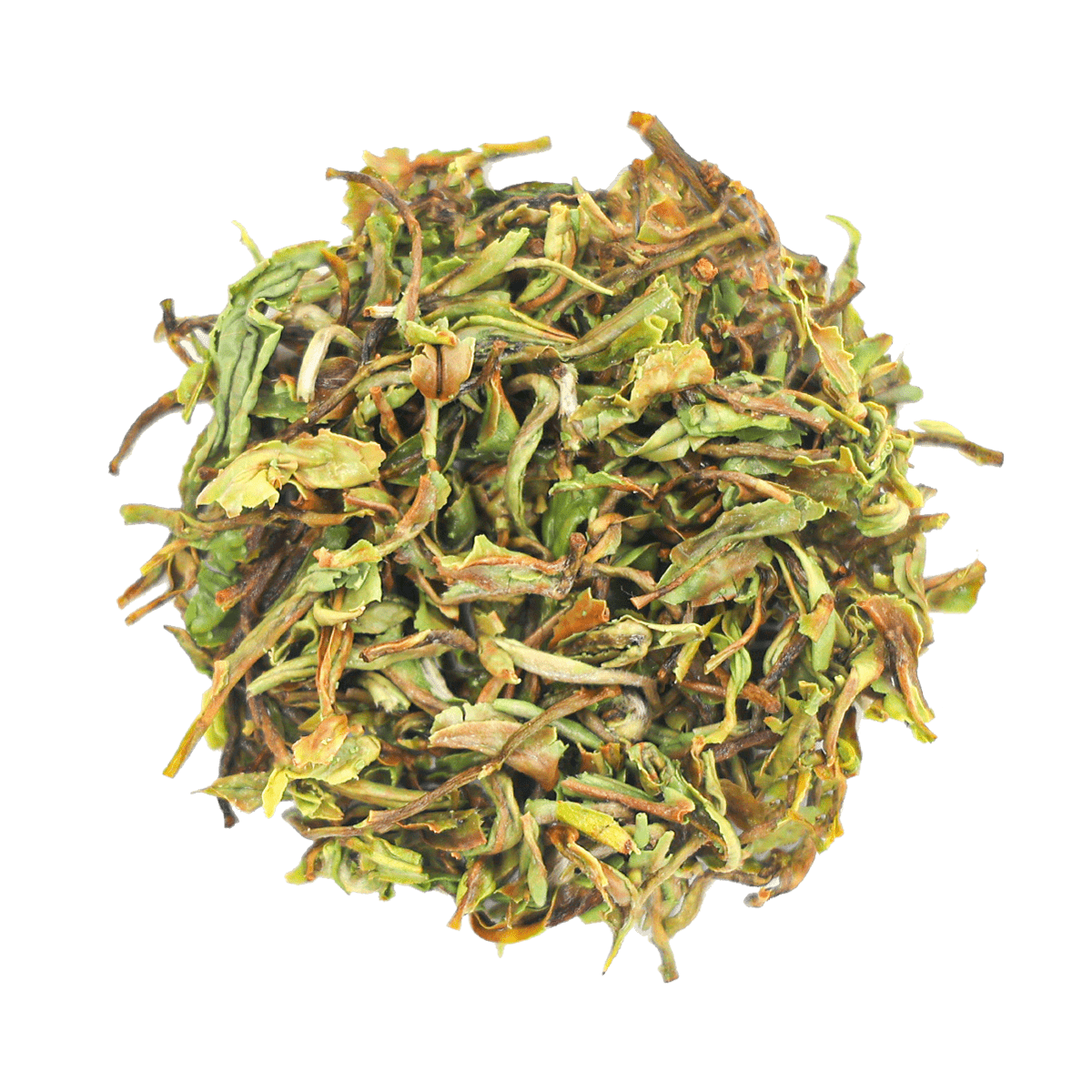 A close-up view of dried, rolled tea leaves - GlenburnMoonshine_Dry - Chaichun