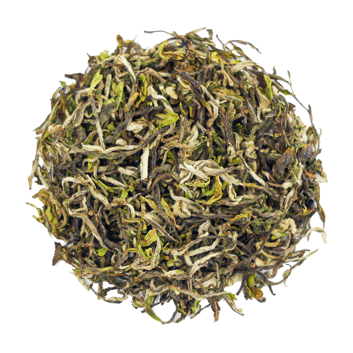 Exuberant First Flush Glenburn Moonshine Tea 2026 - Chai Chun