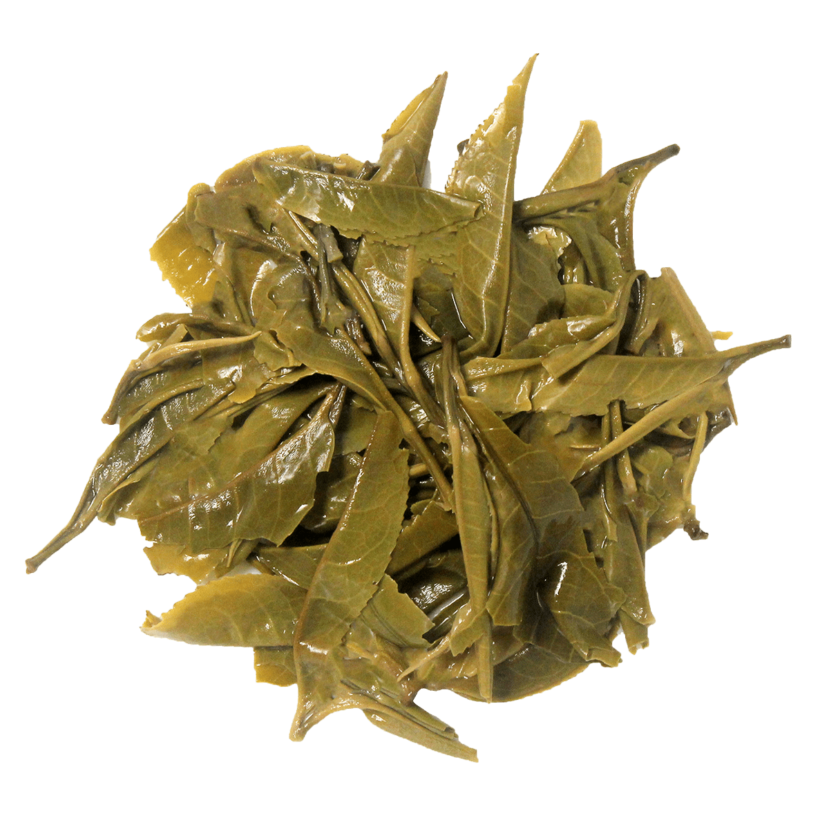 PEARL WHITE - chaichuntea