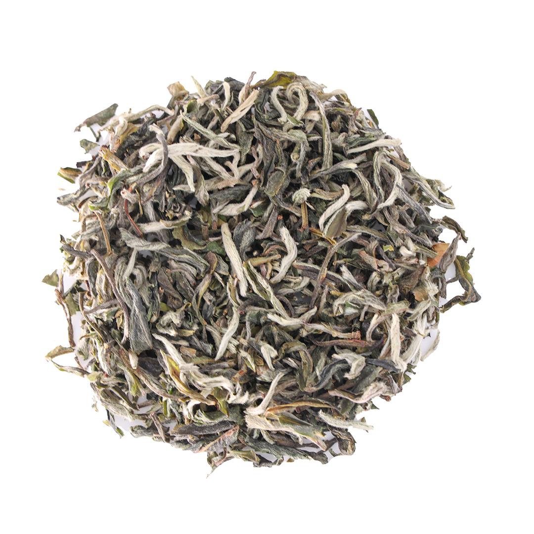 Badamtam Tippy Clonal First Flush 2026