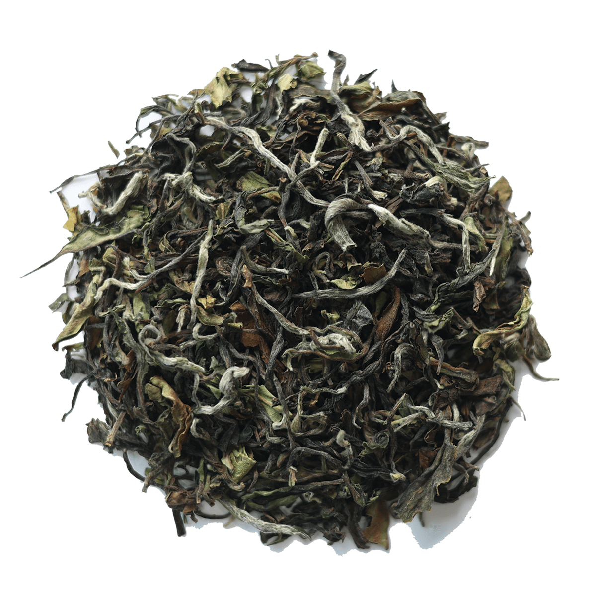 goomteespringwhite Chai Chun