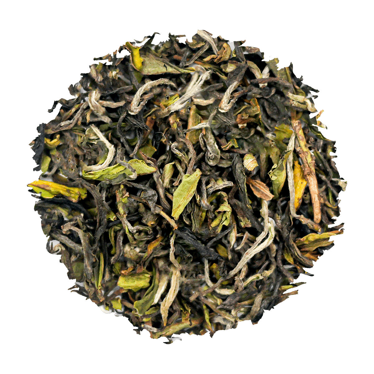 Majestic Darjeeling First Flush - OKAYTI Moonshine - 2025 - Chai Chun