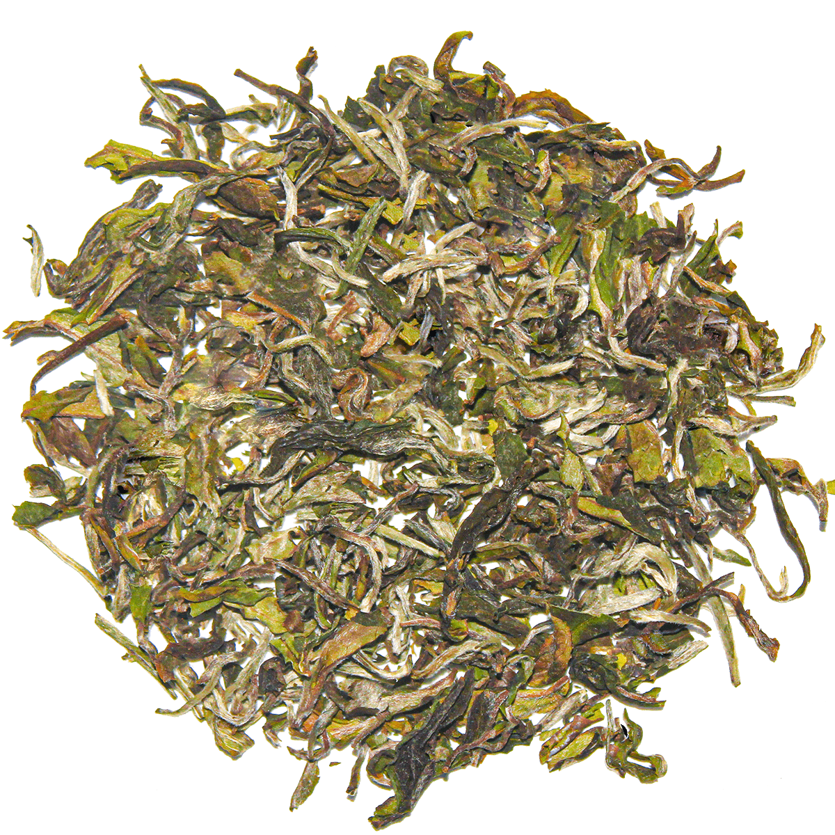 Spring Blossoms - Chai Chun - Chai