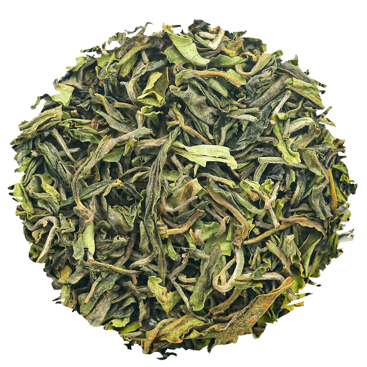 Spring Wonder First Flush - Chai Chun