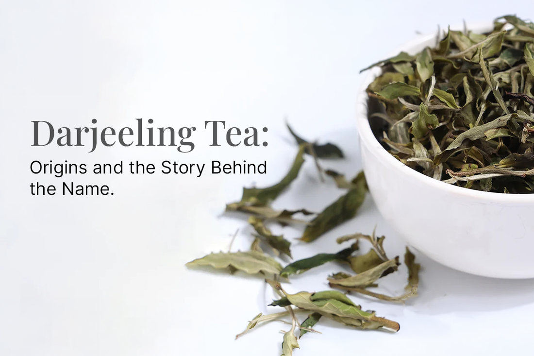 DARJEELING TEA: ORIGINS & THE STORY BEHIND THE NAME