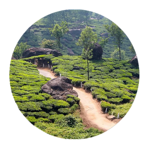 ASSAM