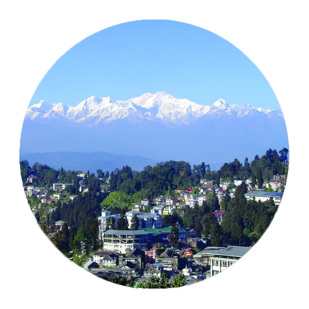 Chai Chun Darjeeling tea collection – single-origin teas from the Himalayan foothills