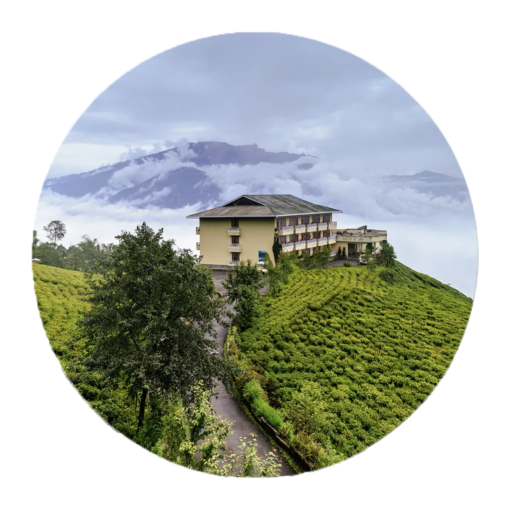 ChaiChun Sikkim tea – premium whole leaf teas from Temi and other Sikkim estates.
