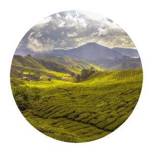 ARUNACHAL PRADESH