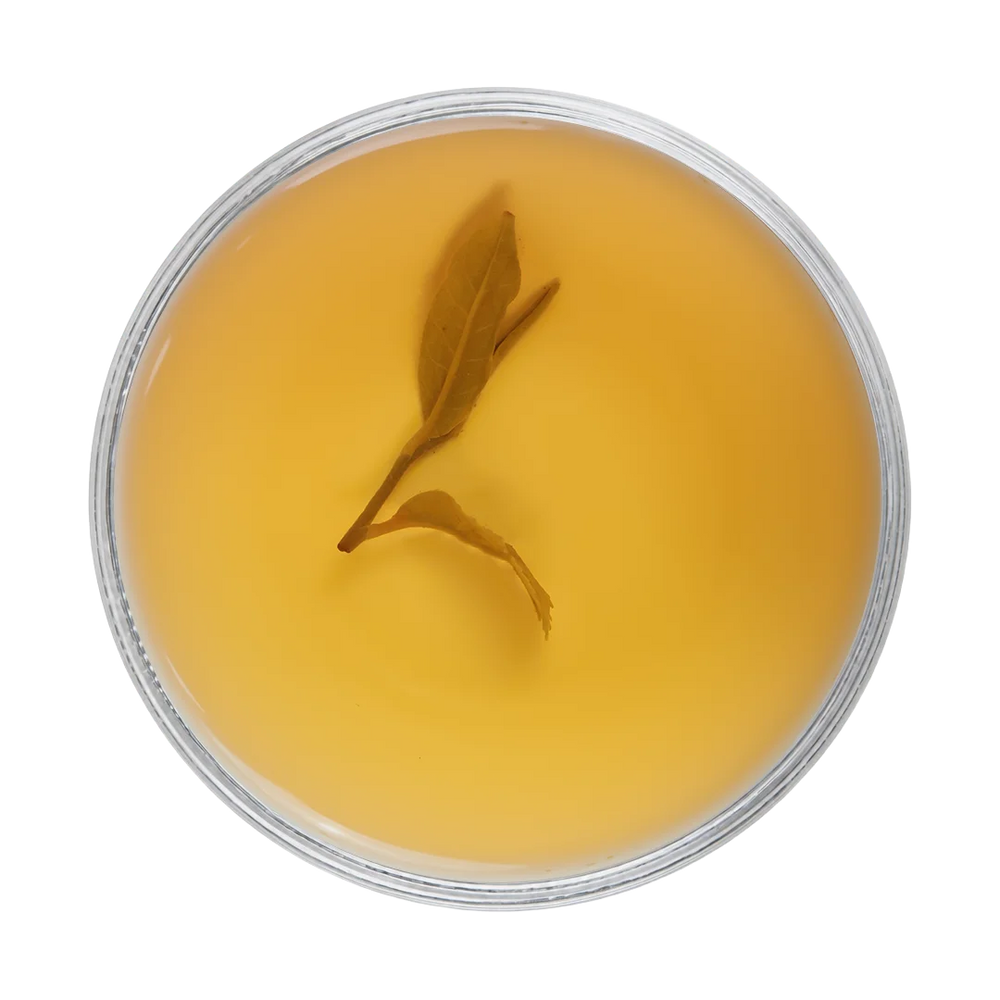 Avongrove-SFTGFOP1 Clonal | First Flush