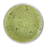 Craft Matcha