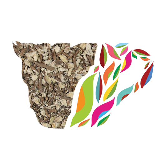 Dandelion Root