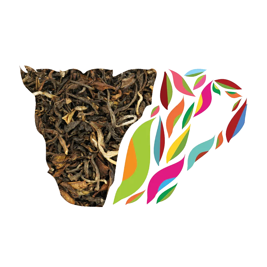 DARJEELING SIGNATURE BLACK (PREMIUM SECOND FLUSH)