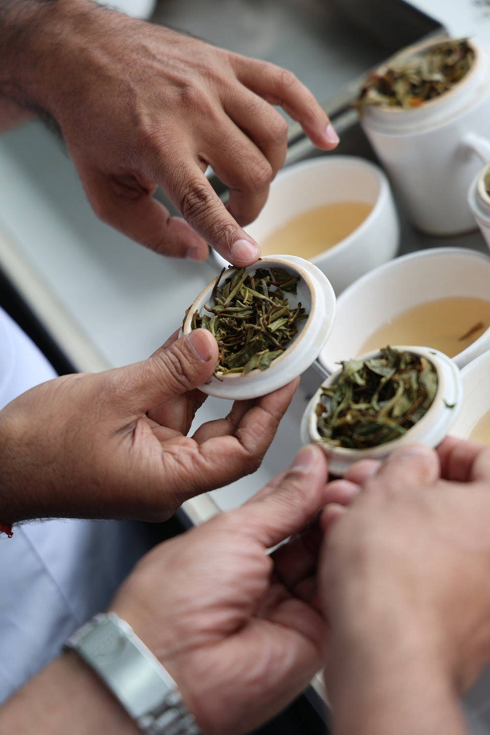 Silver Journey – The Tasting Table