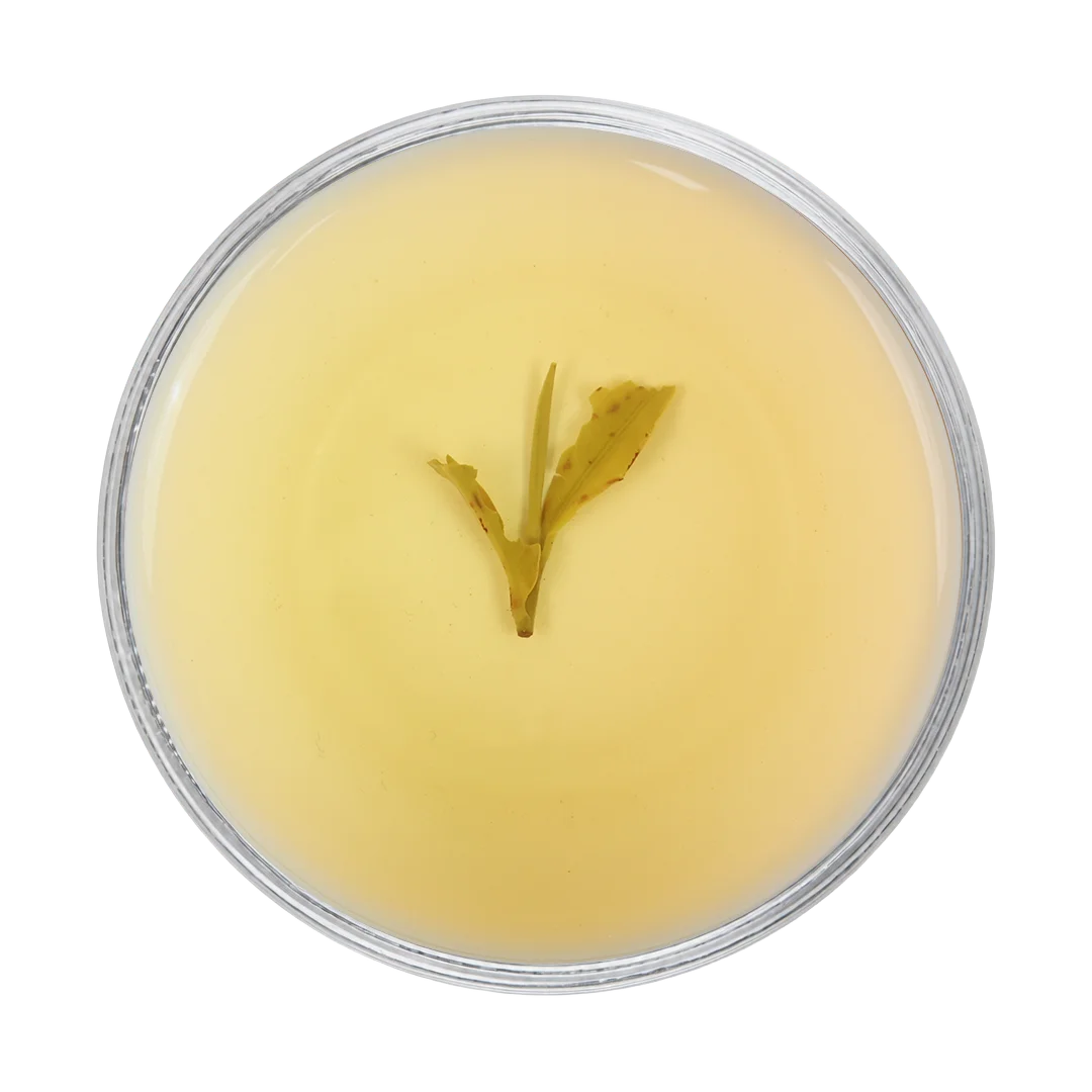 Glenburn-Clonal Delight | Second Flush
