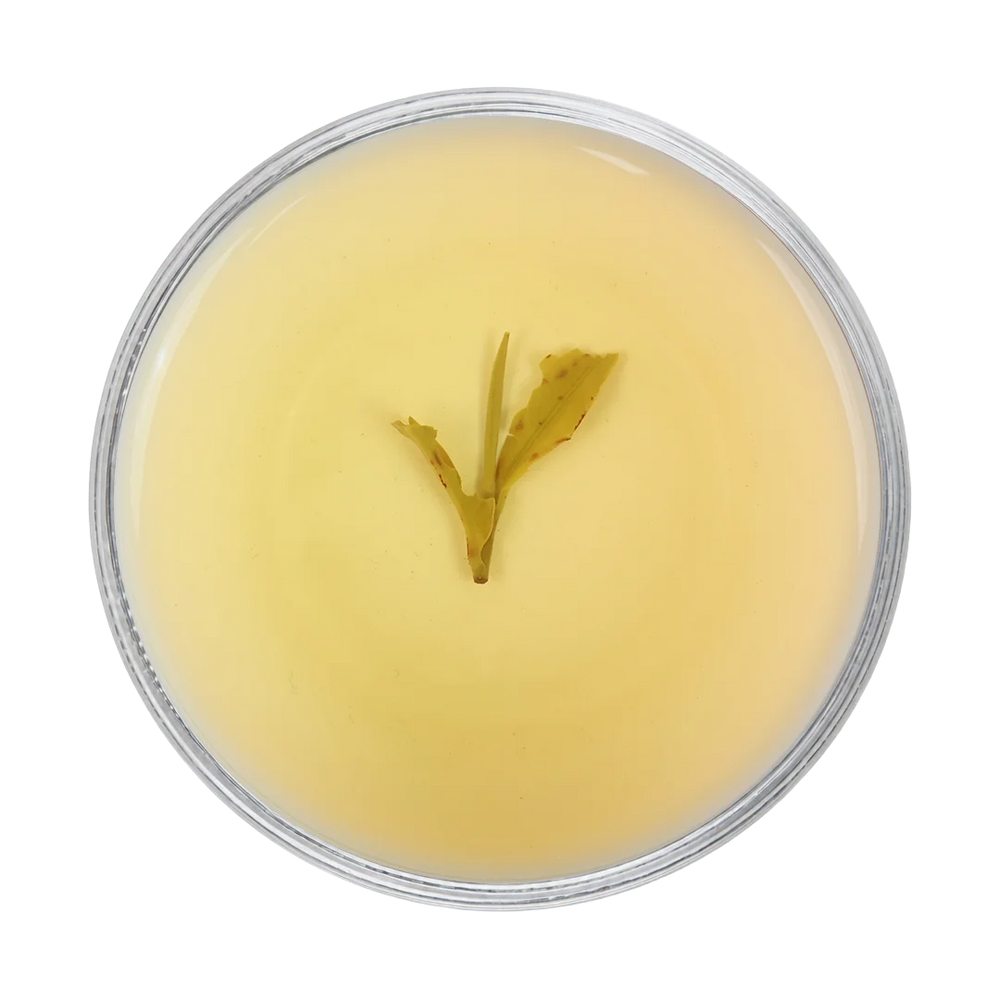 Glenburn-FTGFOP1CL (2nd Flush)