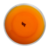 Namring-FTGFOP1 Muscatel (2nd Flush)