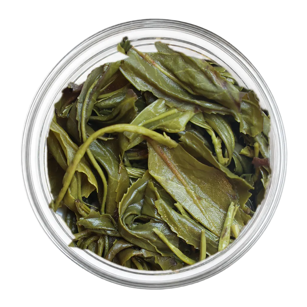 Okayti Marvel Green-Whole Leaf Green (2nd Flush)