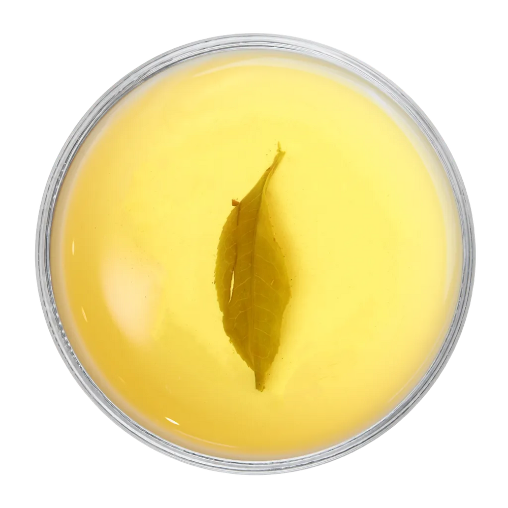Okayti Marvel Green-Whole Leaf Green (2nd Flush)