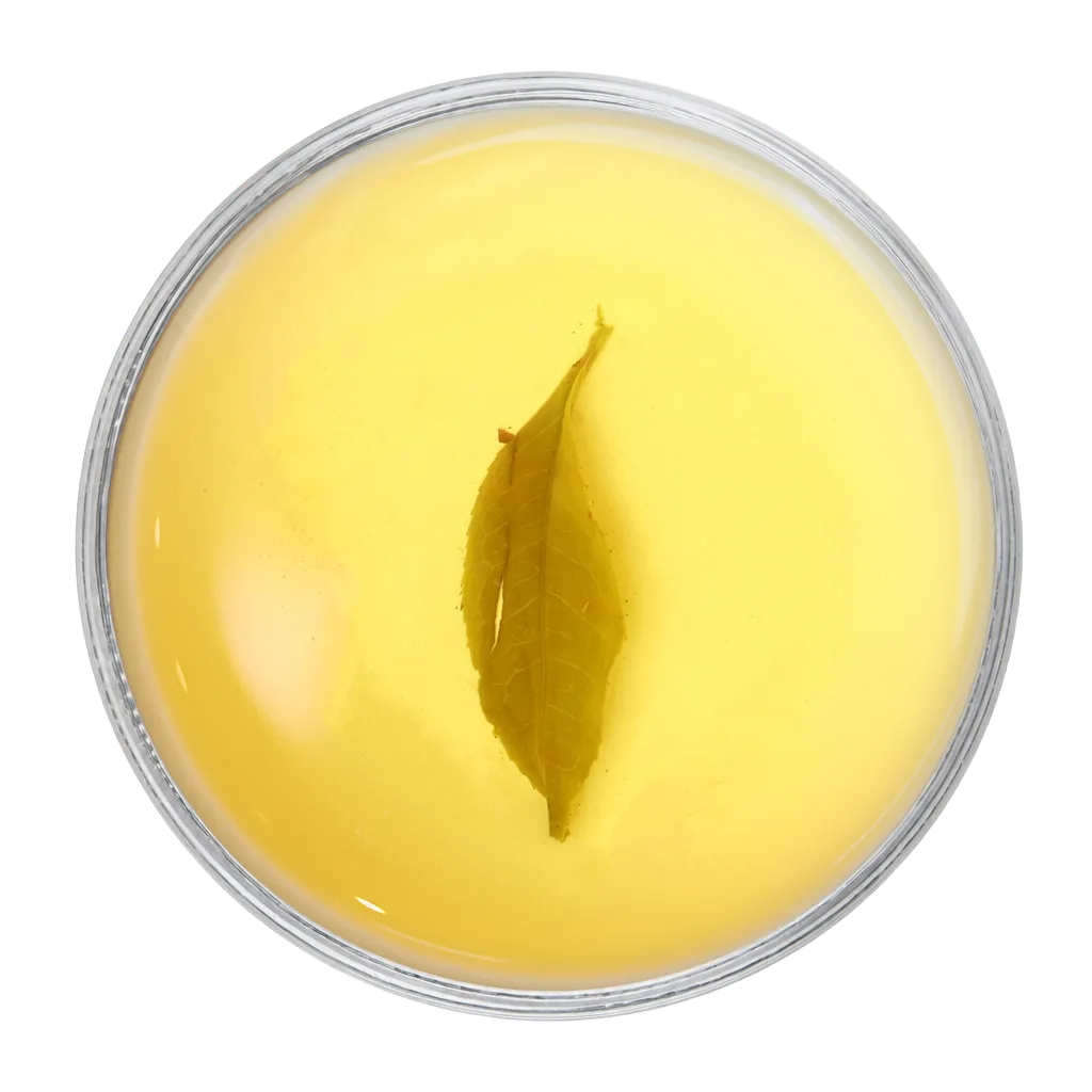 Okayti Marvel Green-Whole Leaf Green (2nd Flush)