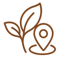 SINGLE_ORIGIN_SELECTIONS - A brown minimalist line icon showing a leafy sprig beside a location pin, on a plain white background.