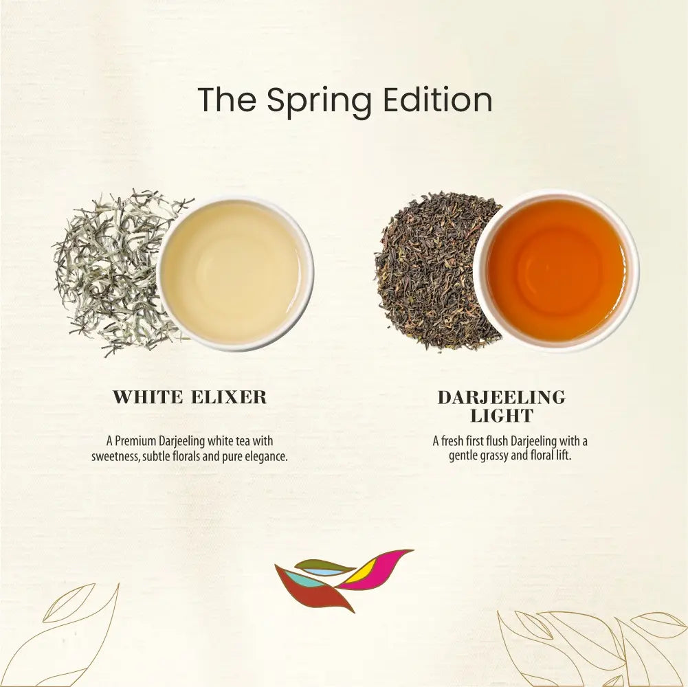 THE SPRING EDITION