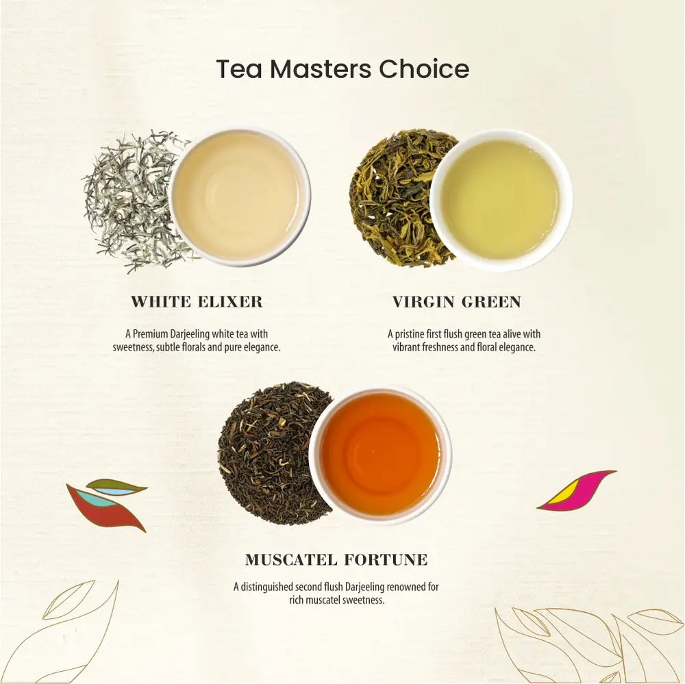 TEA MASTER’S CHOICE