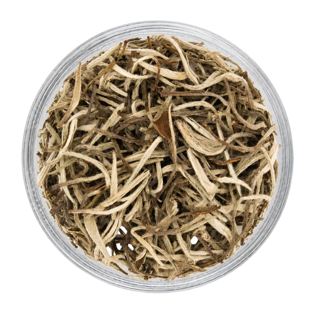 WHITE ELIXIR ( WHITE TEA)