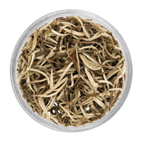 WHITE ELIXIR ( WHITE TEA)