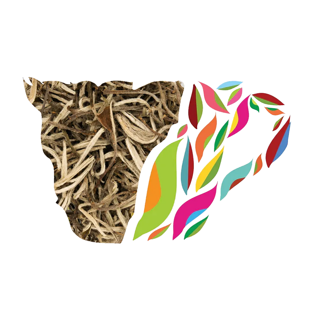 WHITE ELIXIR ( WHITE TEA)