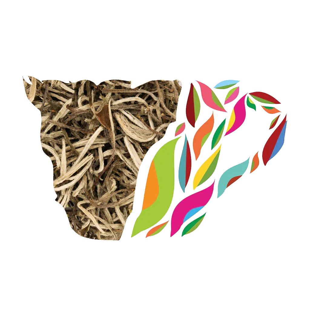 WHITE ELIXIR ( WHITE TEA)