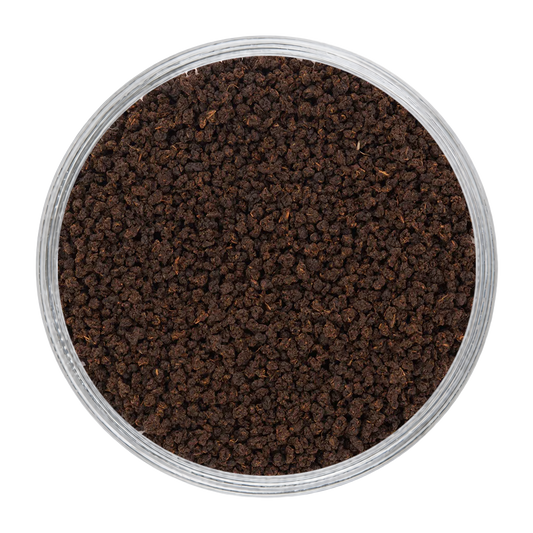 Zabardast Evening