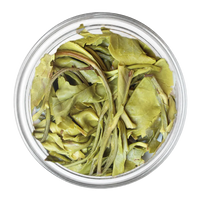 Avataa-Virgin Green Tea | Second Flush