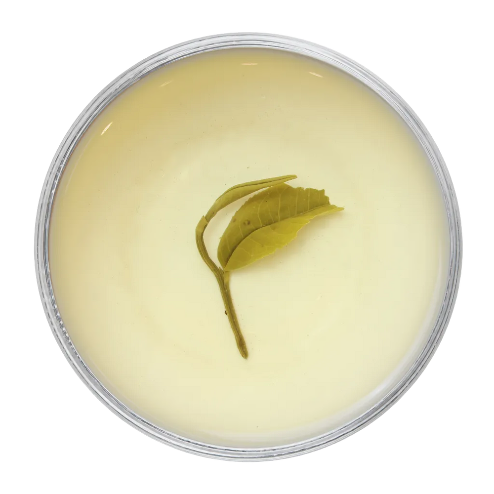 Avataa-Virgin Green Tea | Second Flush