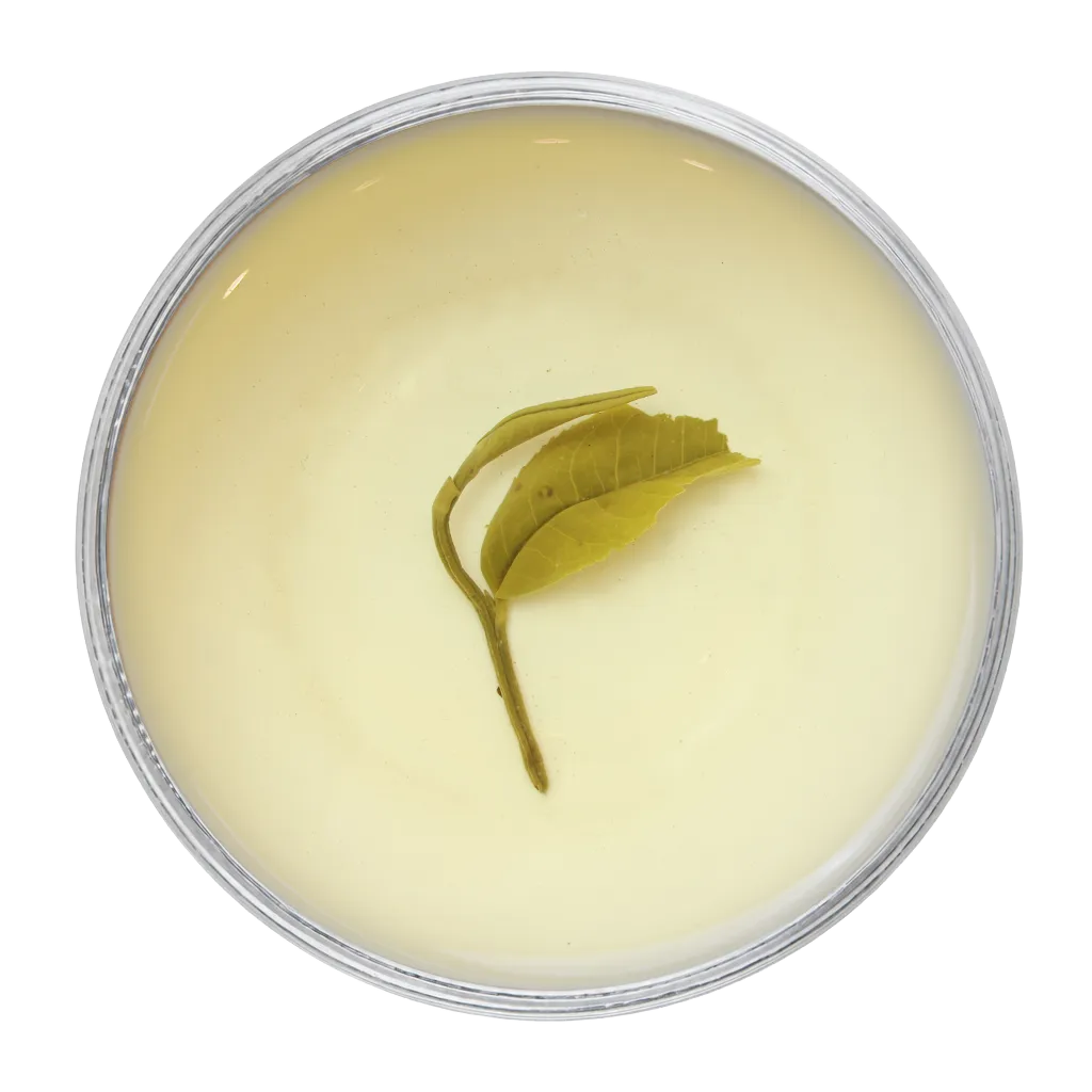 Avataa-Virgin Green Tea | Second Flush