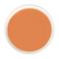 A cup of creamy orange-brown desi masala chai, infused with warming ginger and aromatic spices.