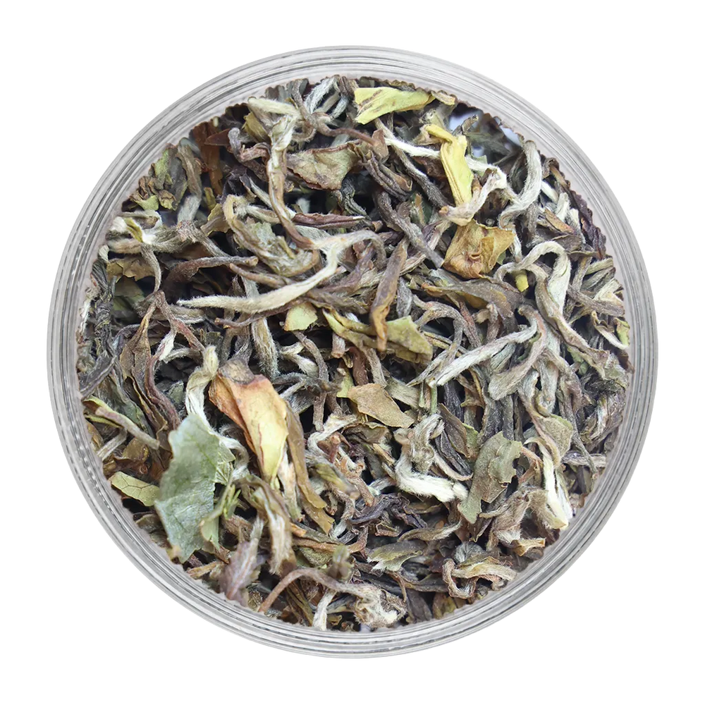 Glenburn-MOONSHINE | First Flush