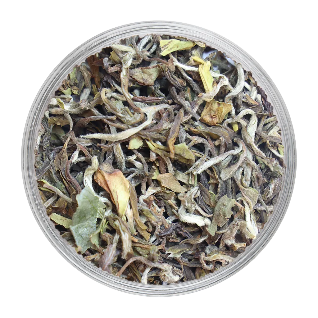 Glenburn-MOONSHINE | First Flush