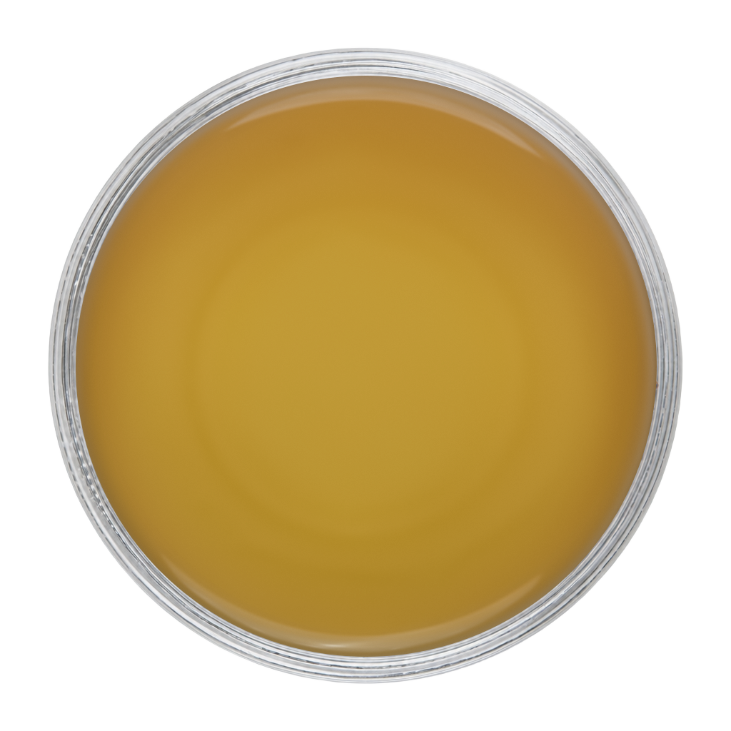 Immune