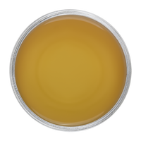 Immune
