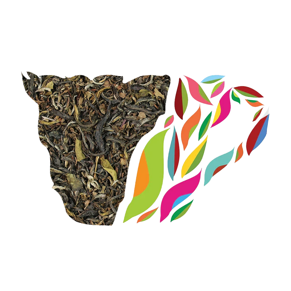Moroccan Mint
