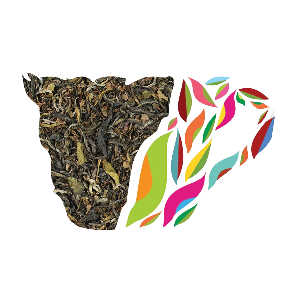 Moroccan Mint