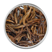 Okayti Treasuer Gold | Second Flush