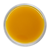 Turmeric Latte
